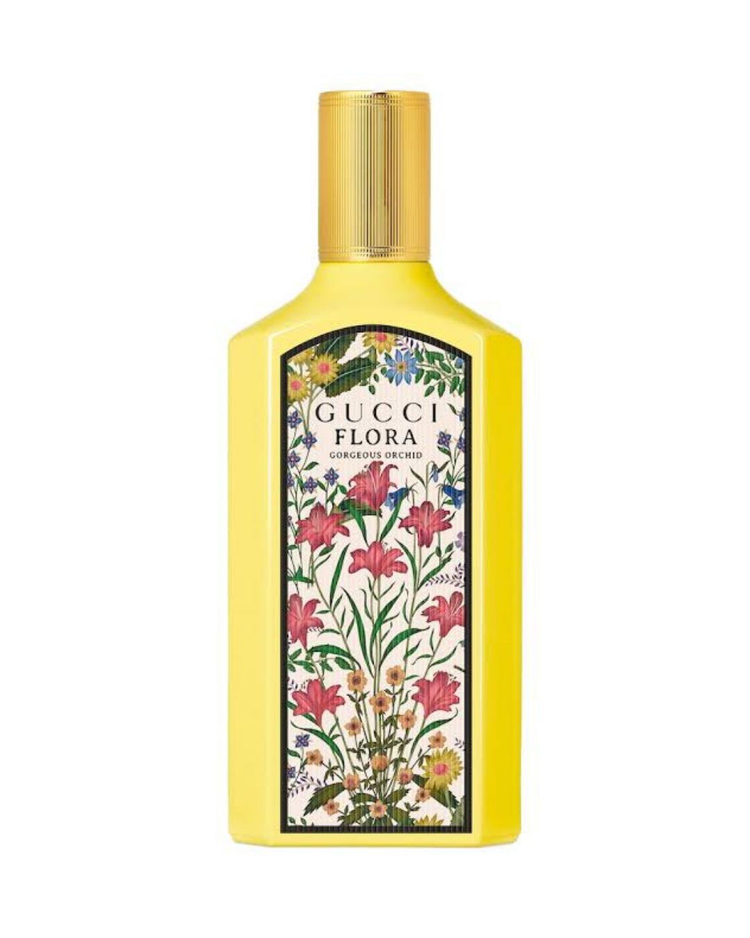 Flora Gorgeous Orchid