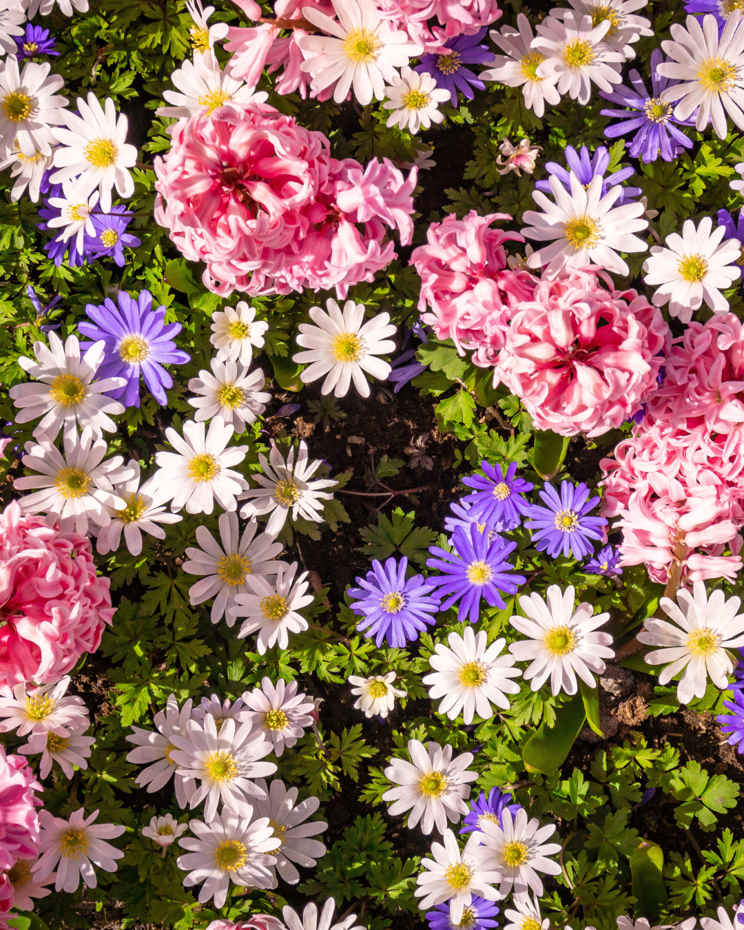 Floraux